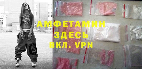 молекула духа Пересвет